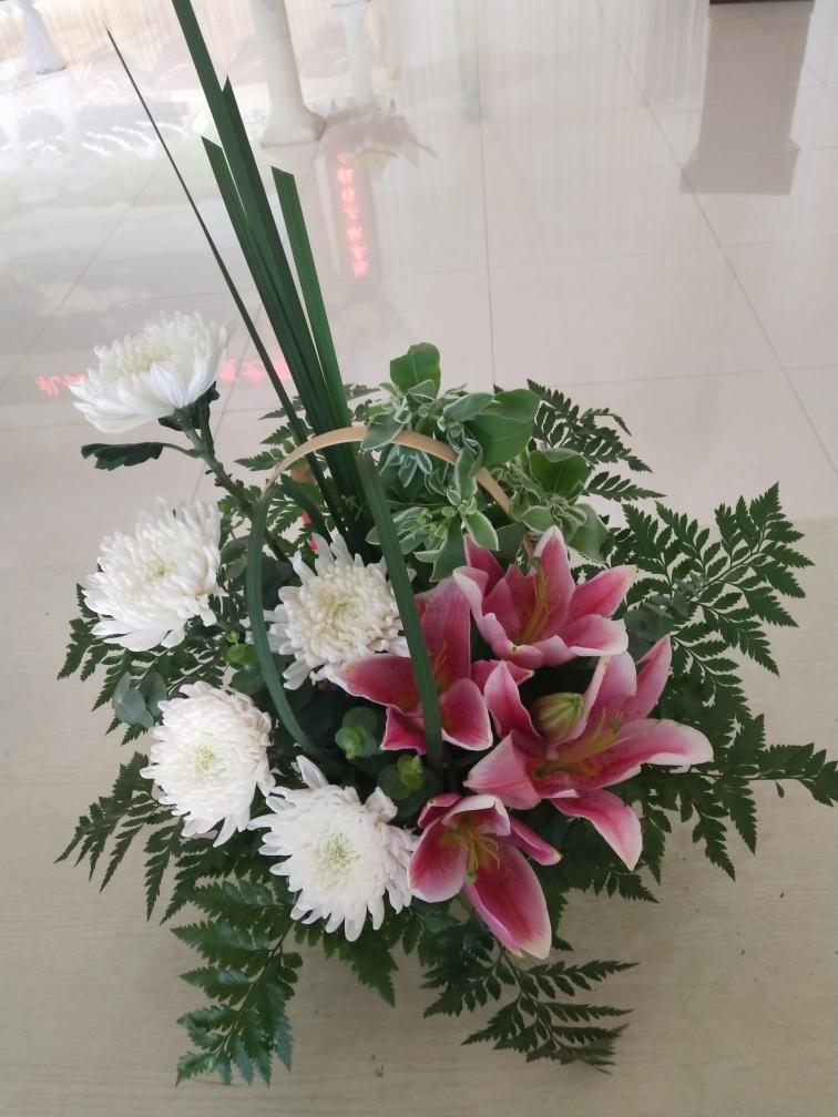 1540107010195.jpg 1540107010195.jpg