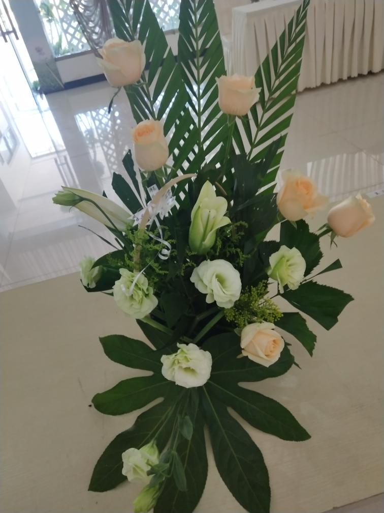 1540106980109.jpg 1540106980109.jpg