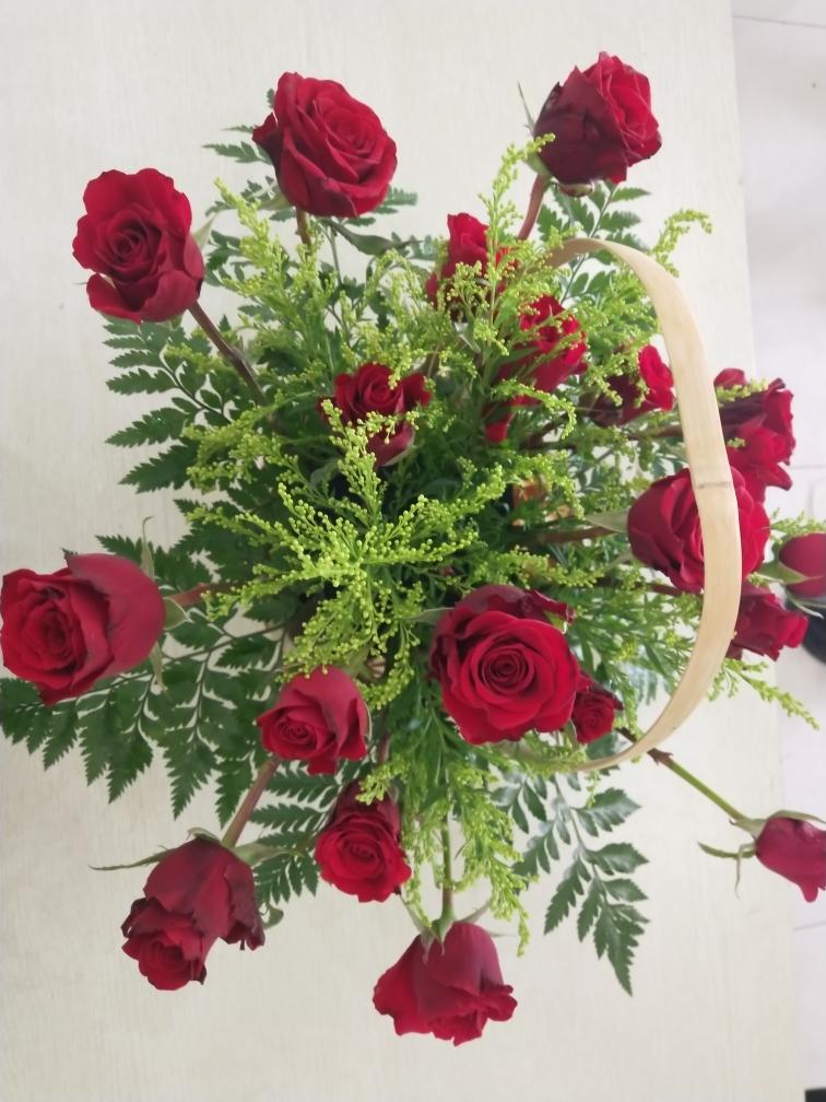 1540106811559.jpg 1540106811559.jpg