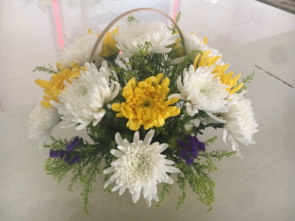 IMG_3955.JPG IMG_3955.JPG