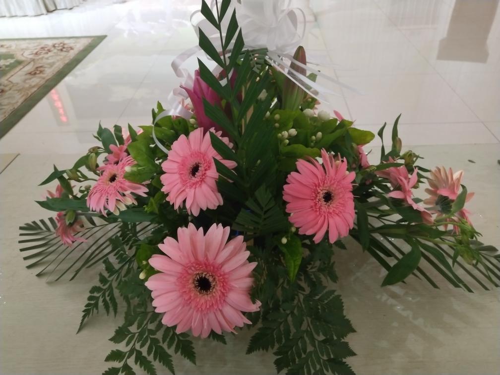 1540107052872.jpg 1540107052872.jpg