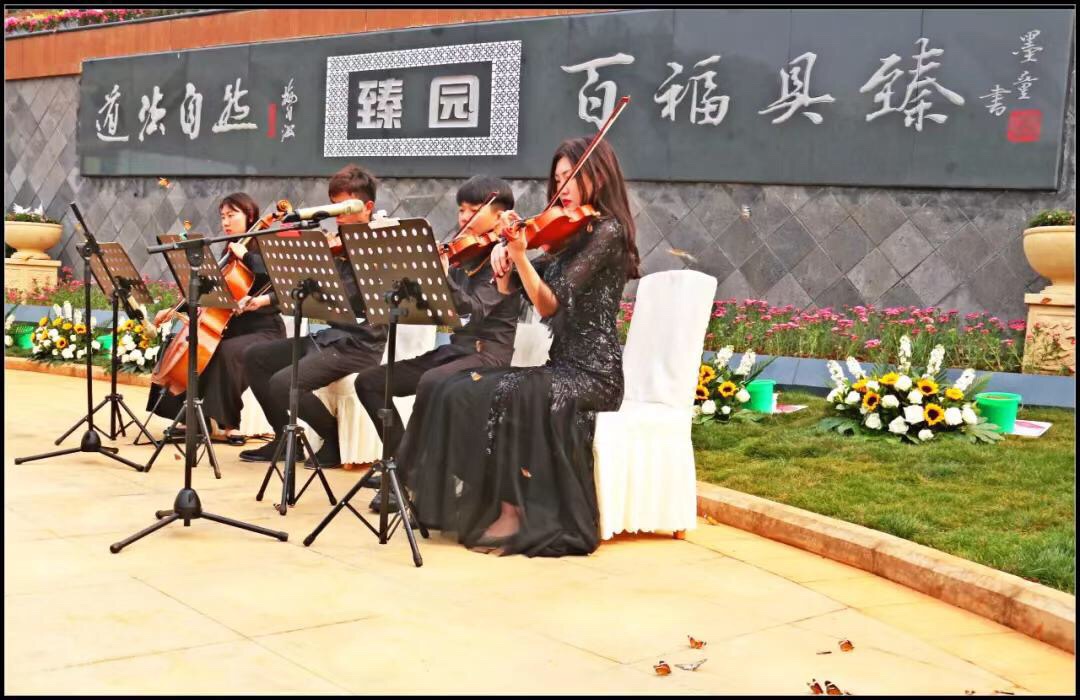 IMG_1300.JPG IMG_1300.JPG