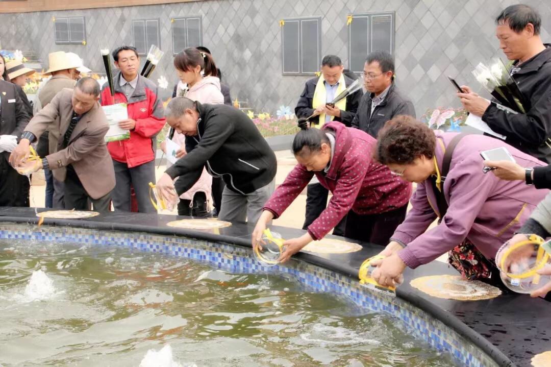 IMG_1305.JPG IMG_1305.JPG