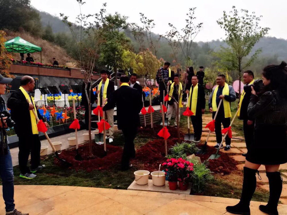 IMG_1306.JPG IMG_1306.JPG