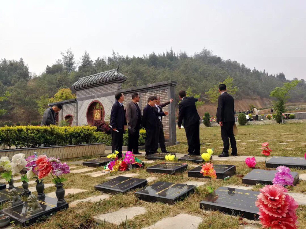 IMG_1311.JPG IMG_1311.JPG