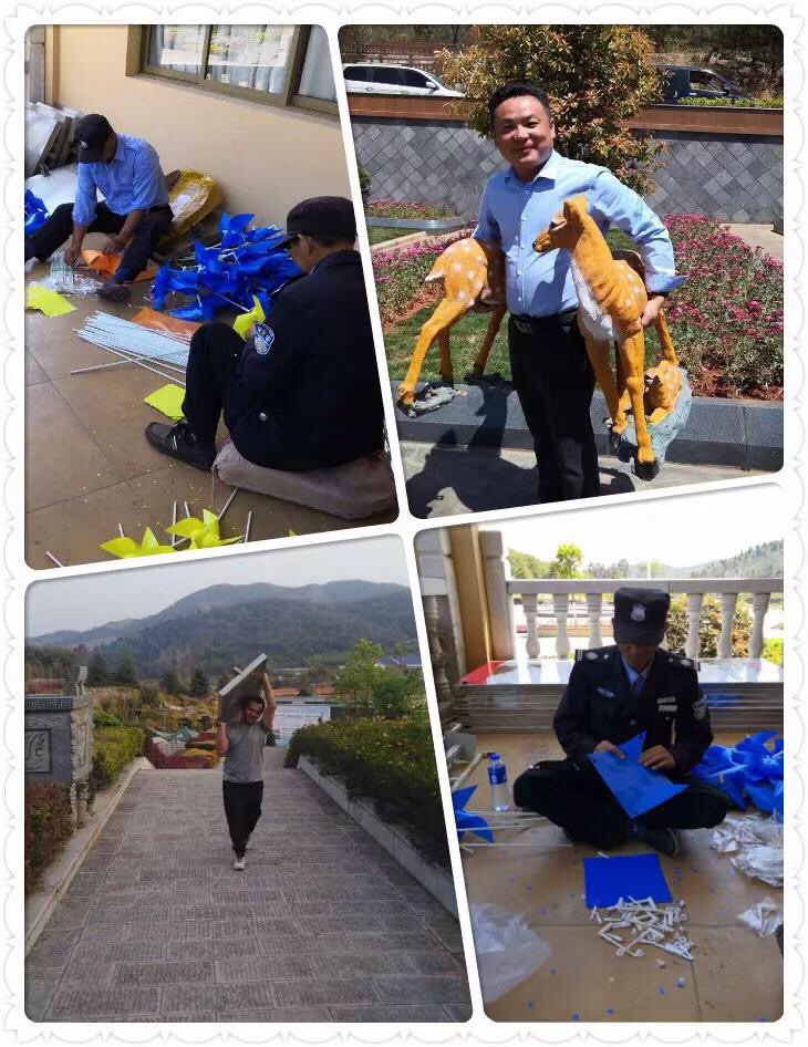 IMG_1313.JPG IMG_1313.JPG