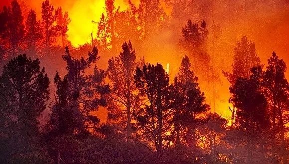 640.webp.jpg 640.webp.jpg