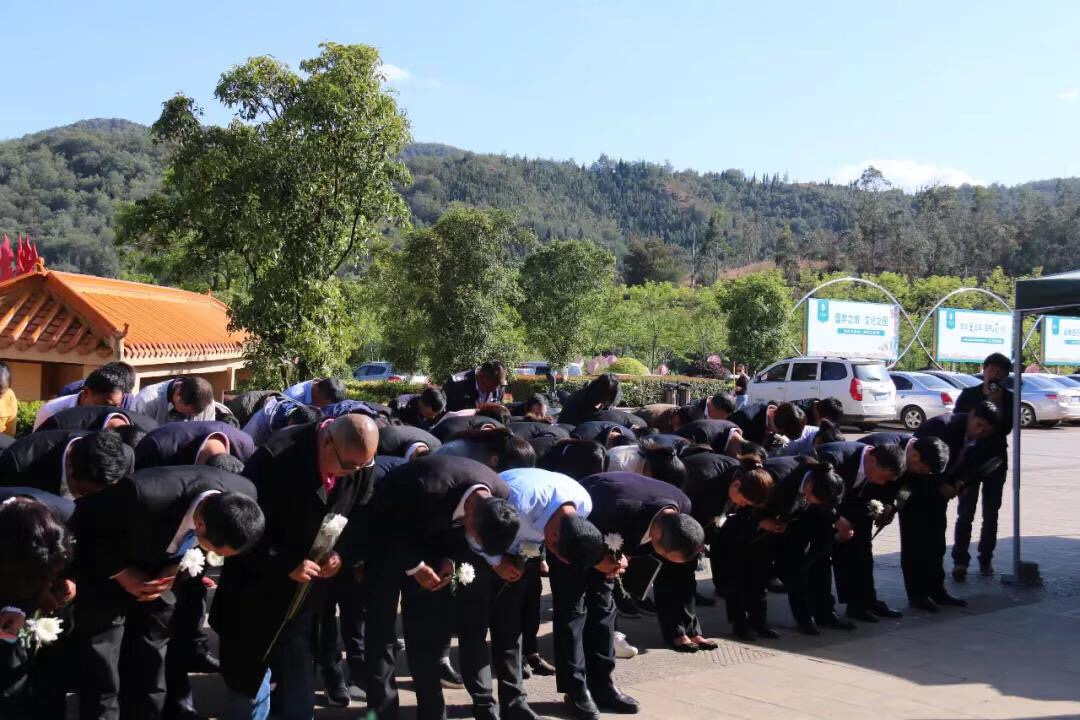 IMG_1320.JPG IMG_1320.JPG