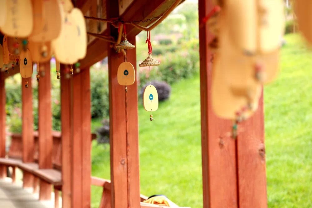 IMG_1678.JPG IMG_1678.JPG