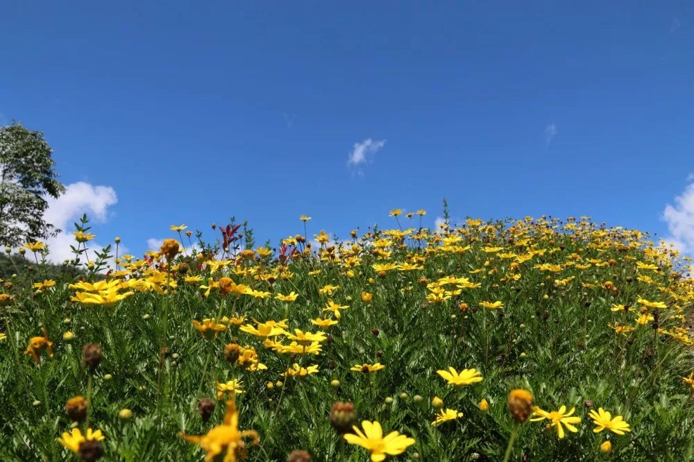 IMG_1679.JPG IMG_1679.JPG