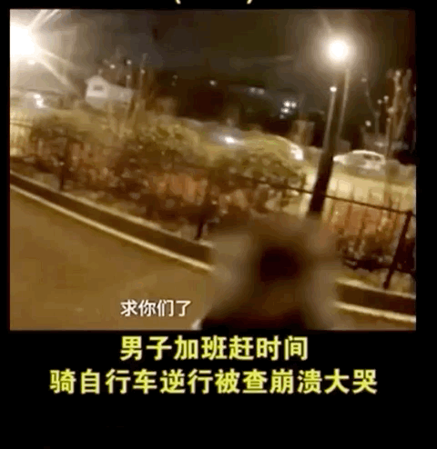 IMG_3181.GIF IMG_3181.GIF