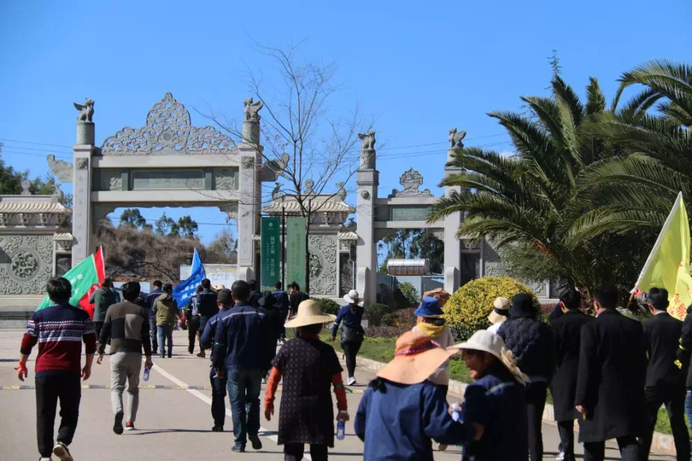 健步IMG_3760.PNG 健步IMG_3760.PNG