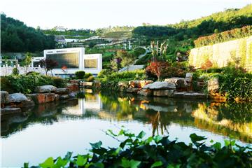 suncitygroup太阳官方网站举行2024清明生态环保葬安葬仪式