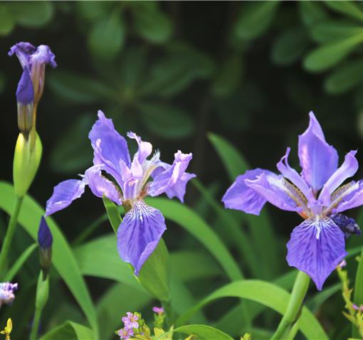 谷雨：雨生百谷，美好正破土而来。